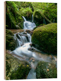 Obraz na drewnie  Little Waterfall in Black Forest - Andreas Wonisch
