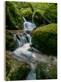 Hout print  Little Waterfall in Black Forest - Andreas Wonisch