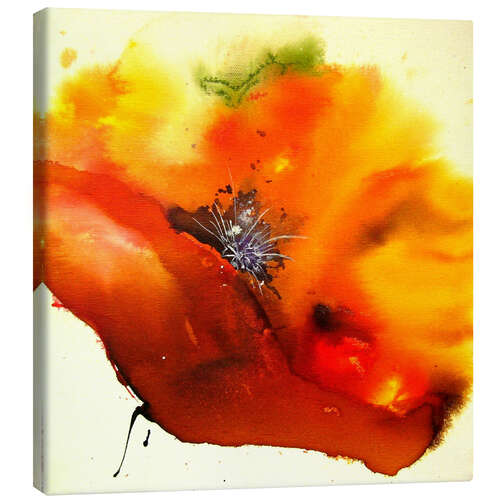 Canvas print Poppy - single flower