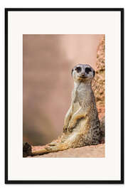 Gerahmter Kunstdruck Was guckst Du