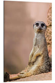 Magnettafel Was guckst Du