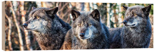 Holzbild Wolfstrio