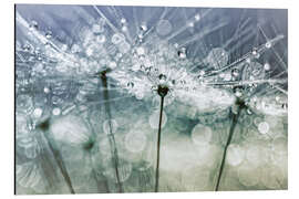 Magnettafel Pusteblume Bokeh Boogie .... (II)