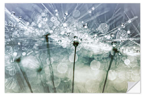 Sisustustarra Blowball Bokeh Boogie.... (II)