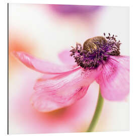 Magnettafel Zarter Frühling