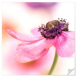 Vinilo para la pared Delicate Spring