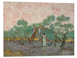 Foam board print Women Picking Olives