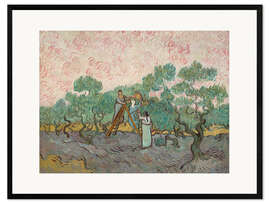 Impresión de arte enmarcada Women Picking Olives