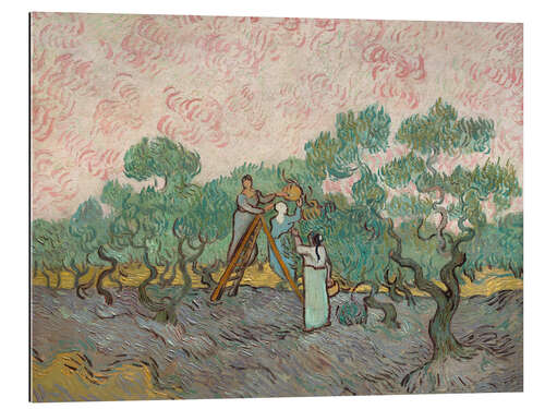 Galleriprint Women Picking Olives