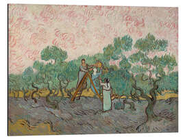 Magnettafel Die Olivenpflücker