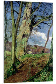 Magnettafel Im Frühen Frühling: Eine Studie März