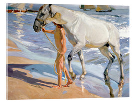 Akrylbillede The Horse's Bath - Joaquín Sorolla y Bastida