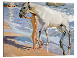 Magnettafel Waschen des Pferdes