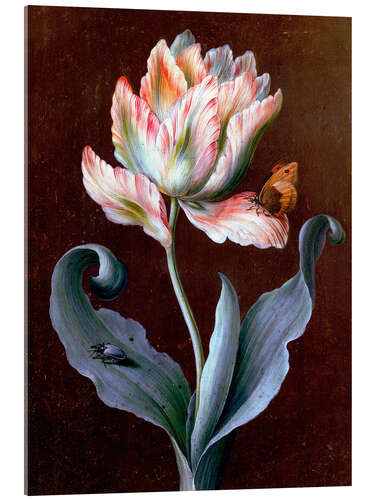 Acrylic print Parrot tulip with butterfly and beetle