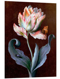 Foam board print Parrot tulip with butterfly and beetle