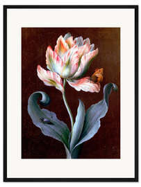 Gerahmter Kunstdruck Papageientulpe mit Schmetterling und Käfer