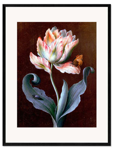 Impresión de arte enmarcada Loro tulipán con mariposa y escarabajo.