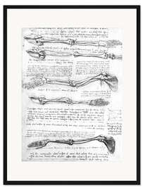 Gerahmter Kunstdruck Knochen der Arme