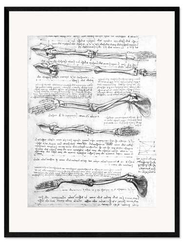 Kunsttryk i ramme Anatomical study of the arm