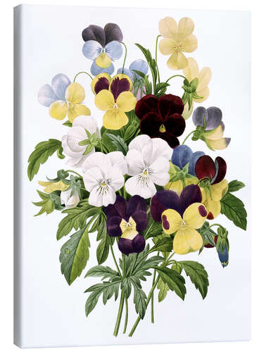 Canvas print Bouquet of Pansies