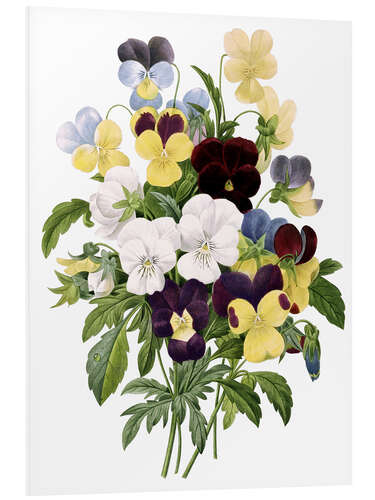 Foam board print Bouquet of Pansies