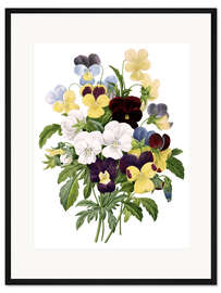 Gerahmter Kunstdruck Stiefmütterchen