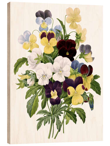 Puutaulu Bouquet of Pansies