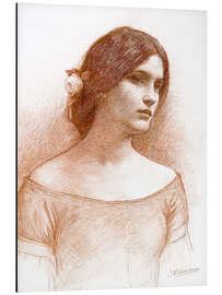 Magnettafel Studie für die Dame Clare