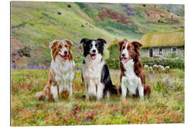 Gallery print Border Collies