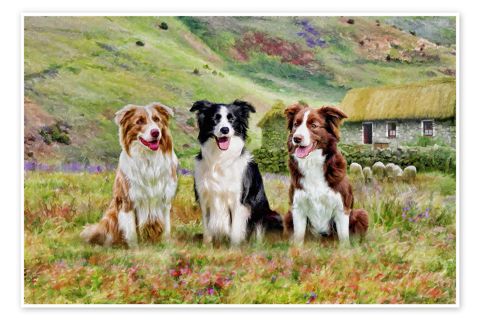 Border Collie, Posters, Art Prints, Wall Murals