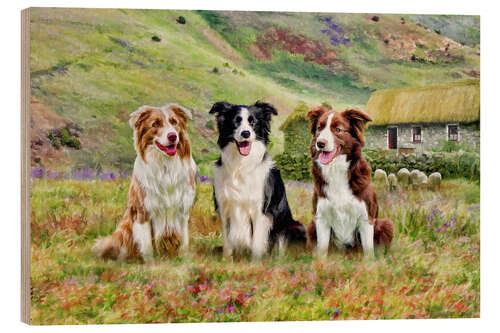 Wood print Border Collies