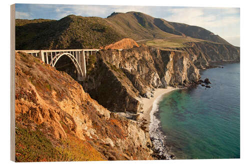 Holzbild big sur