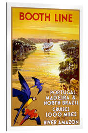 Gallery print Portugal, Madeira and Brazil