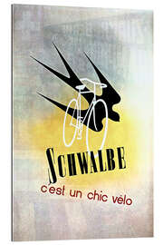 Quadro em plexi-alumínio Bicycles - Schwalbe, cest un chic velo