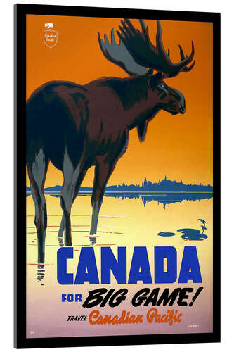 Acrylic print Canada - big game