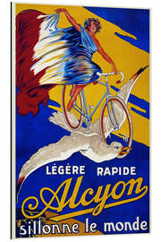 Magnettafel Alcyon - sillonne le monde