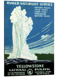 Aluminium print Yellowstone National Park