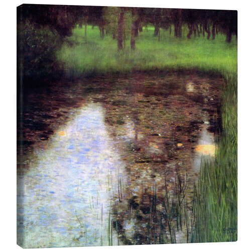Tableau sur toile Le marais