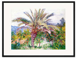 Gerahmter Kunstdruck Palme bei Bordighera