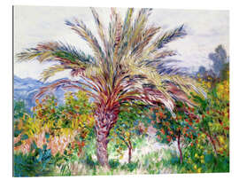 Gallery print Palm tree at Bordighera