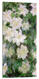 Gallery print White Clematis