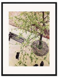 Gerahmter Kunstdruck Boulevard von oben