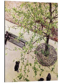 Magnettafel Boulevard von oben