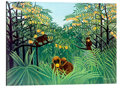 Quadro em alumínio Macacos na selva