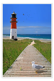 Poster The road to the lighthouse by the sea
