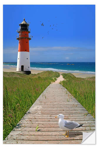 Sticker mural Une mouette sur le chemin du phare