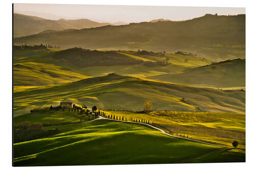 Quadro em alumínio Evening light in Tuscany