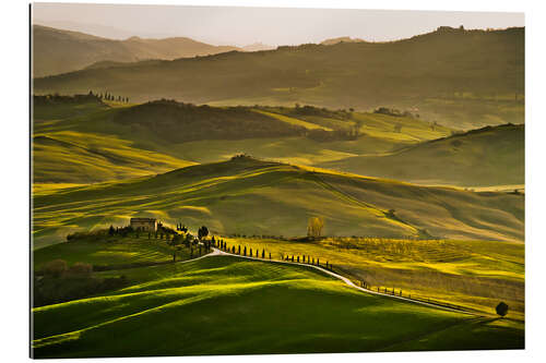 Gallery print Evening light in Tuscany