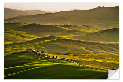 Adesivo murale Evening light in Tuscany