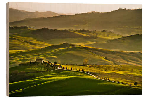 Wood print Evening light in Tuscany